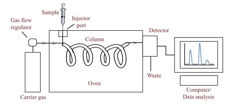 Schematic of a Gas Chromatography system showing carrier gas, injector port, column, oven, detector, and computer data analysis